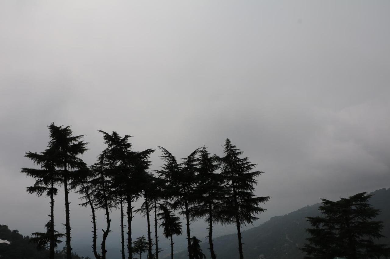 Pema Thang Hotel 캉그라 외부 사진